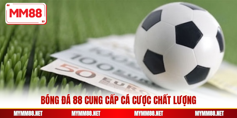 Bóng đá 88 cung cấp cá cược chất lượng