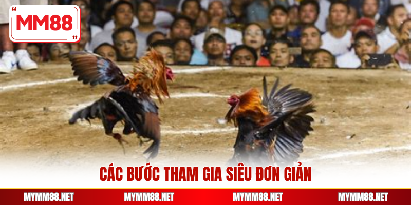 Các bước tham gia siêu đơn giản