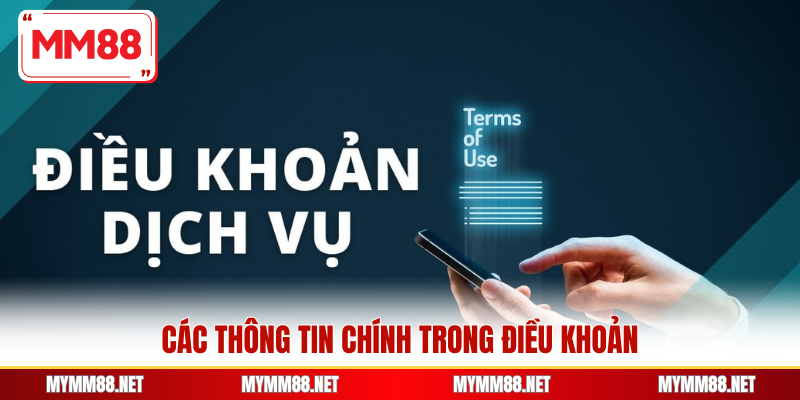 Các thông tin chính trong điều khoản